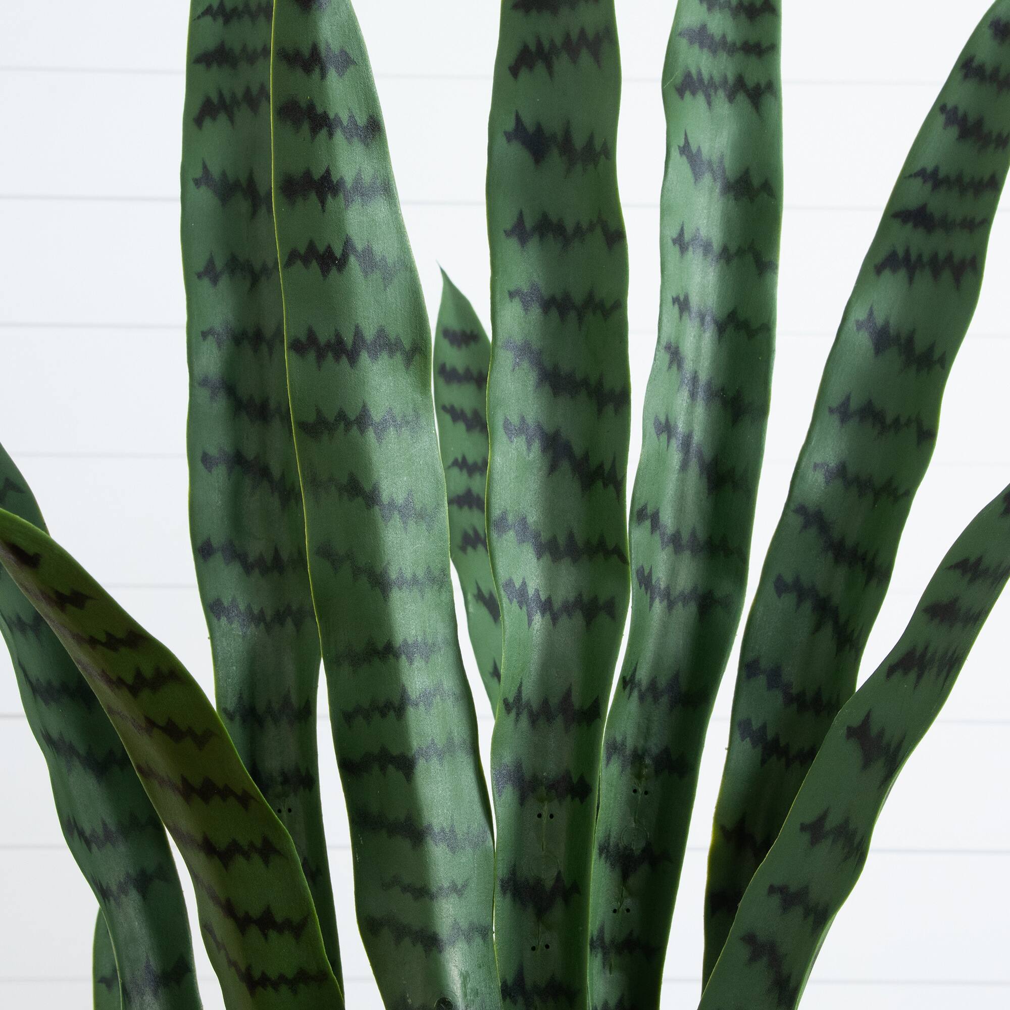 5ft. UV Resistant Artificial Snake Plant in White Decorative Planter